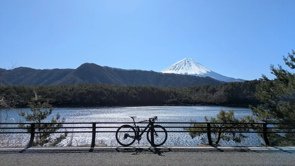 42：西湖北岸からの富士