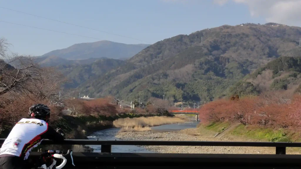 川沿いの桜並木は残念ながら咲いてなかった