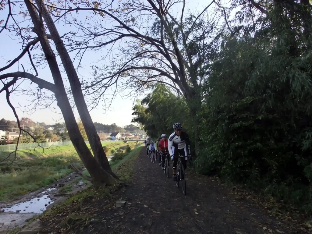 川口川の土手