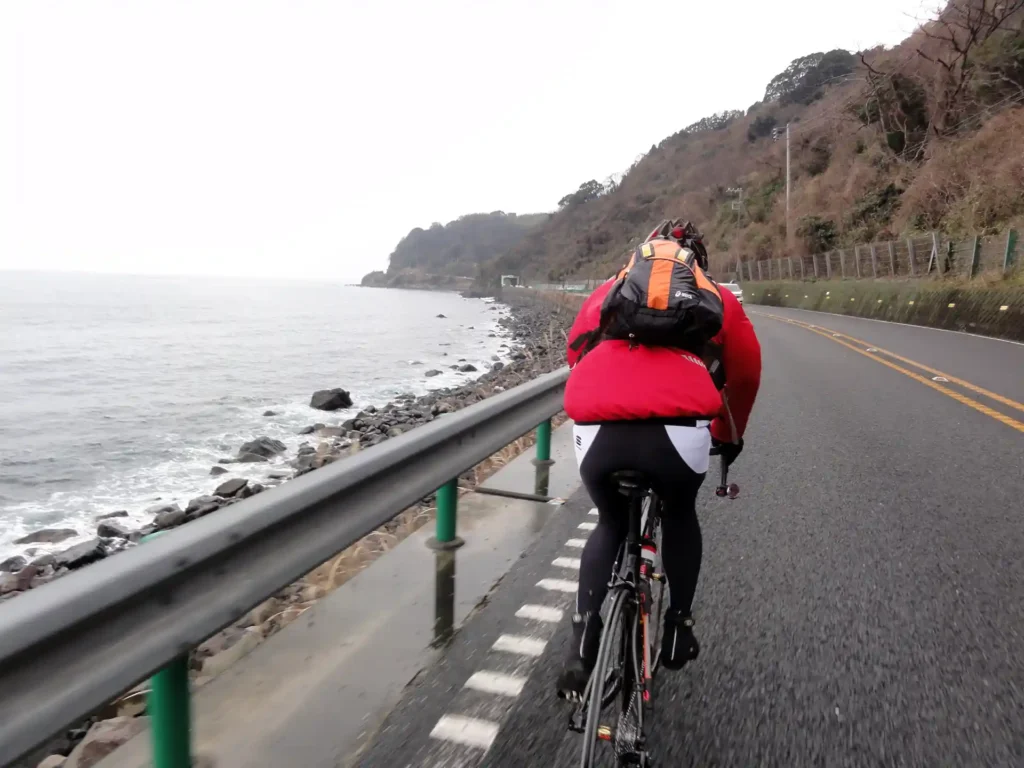 国道135号線