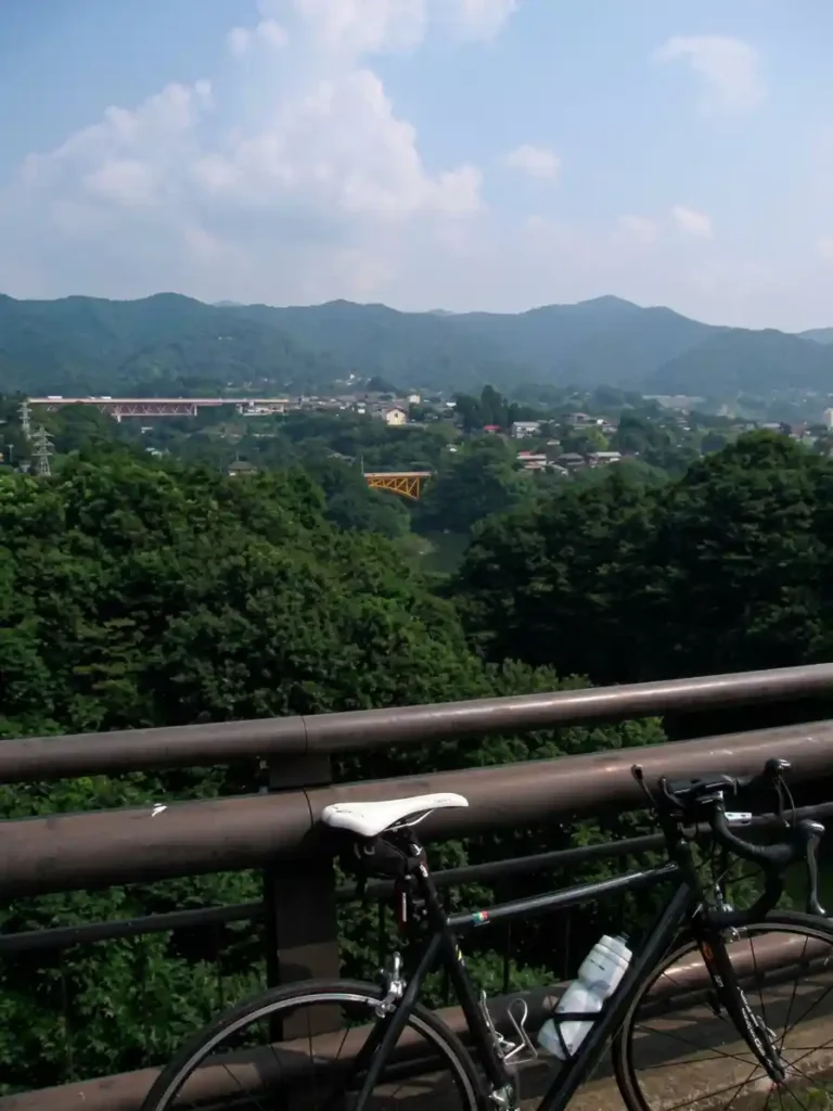 県道520号線の日蓮橋から吉野橋方面を望む